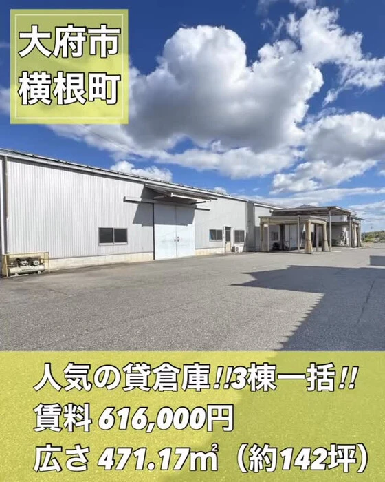 画像1274