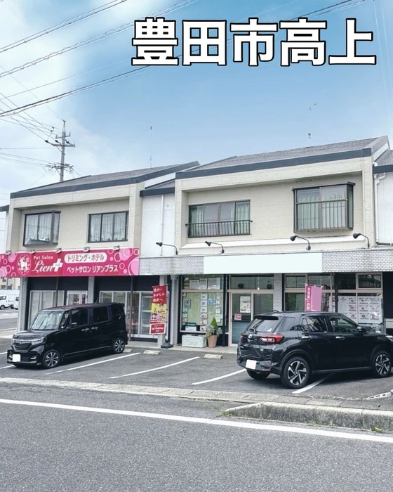 画像1550