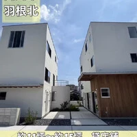 画像247