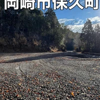 画像314