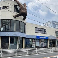 画像364