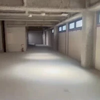 画像513